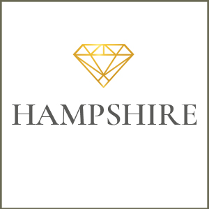 Hampshire Suppliers Hampshire County Button icon in Gold with Diamonds