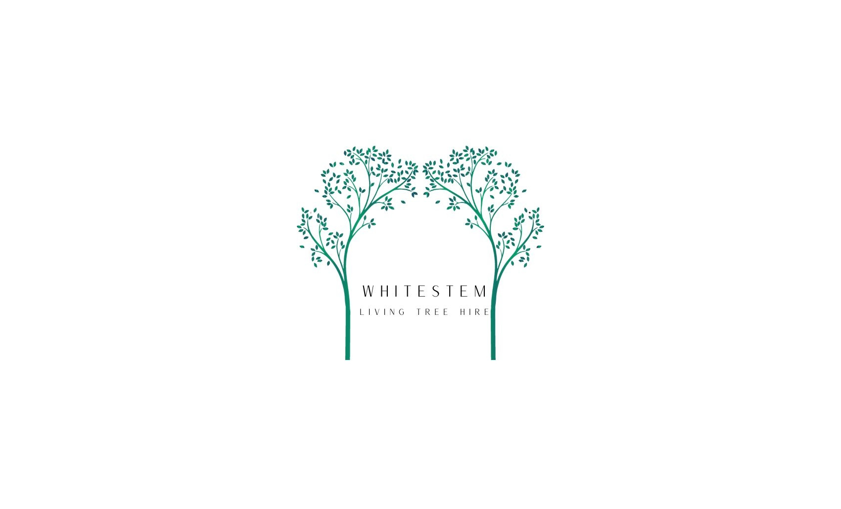 Whitestem botanical wedding styling and venue design Dorset