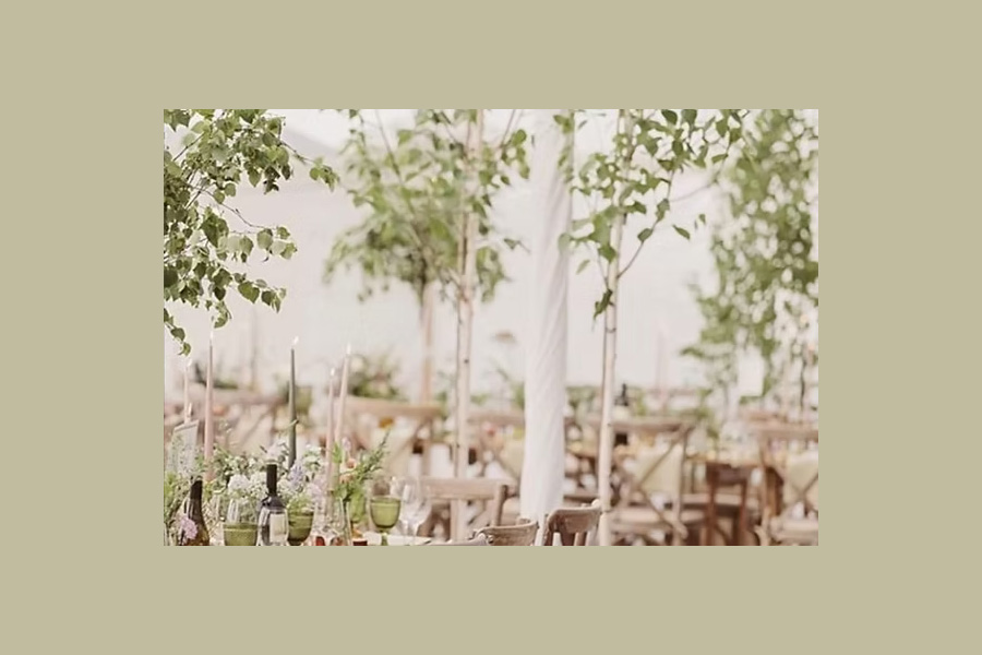 Botanical wedding styling with living trees and greenery inside marquee reception space Dorset