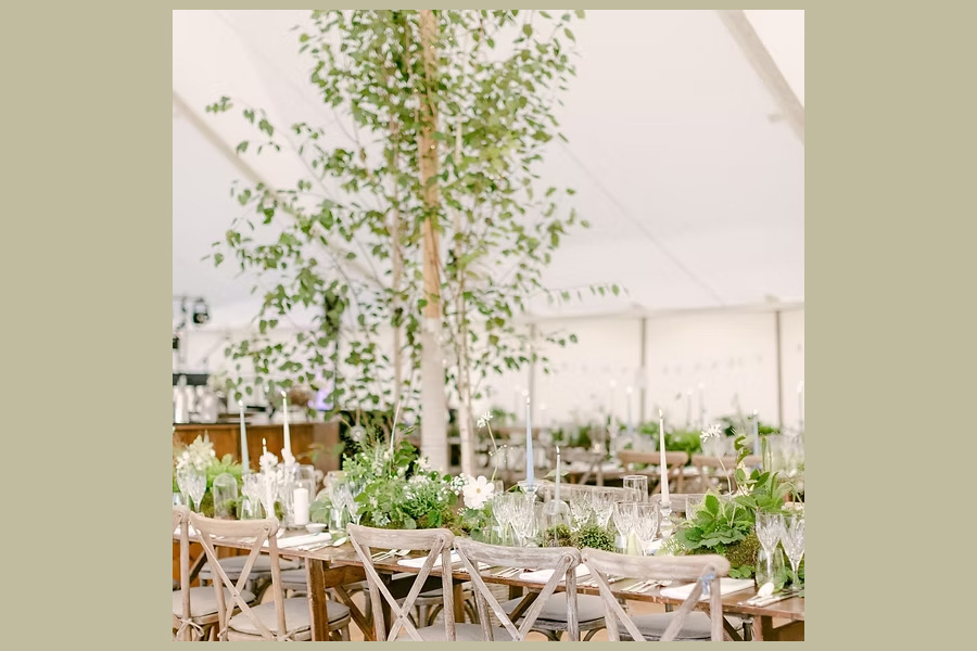 Living tree botanical wedding styling with greenery table design inside marquee reception Dorset