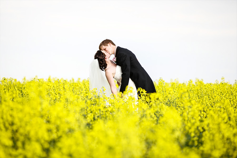 Bride and groom kissing in yellow rapeseed field Wiltshire wedding